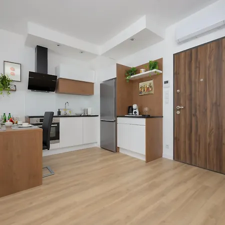 Apartment Elegant Near Paley And Medicover-handelsmana 1st *