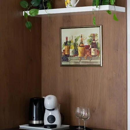 Apartment Elegant Near Paley And Medicover-handelsmana 1st Warsaw